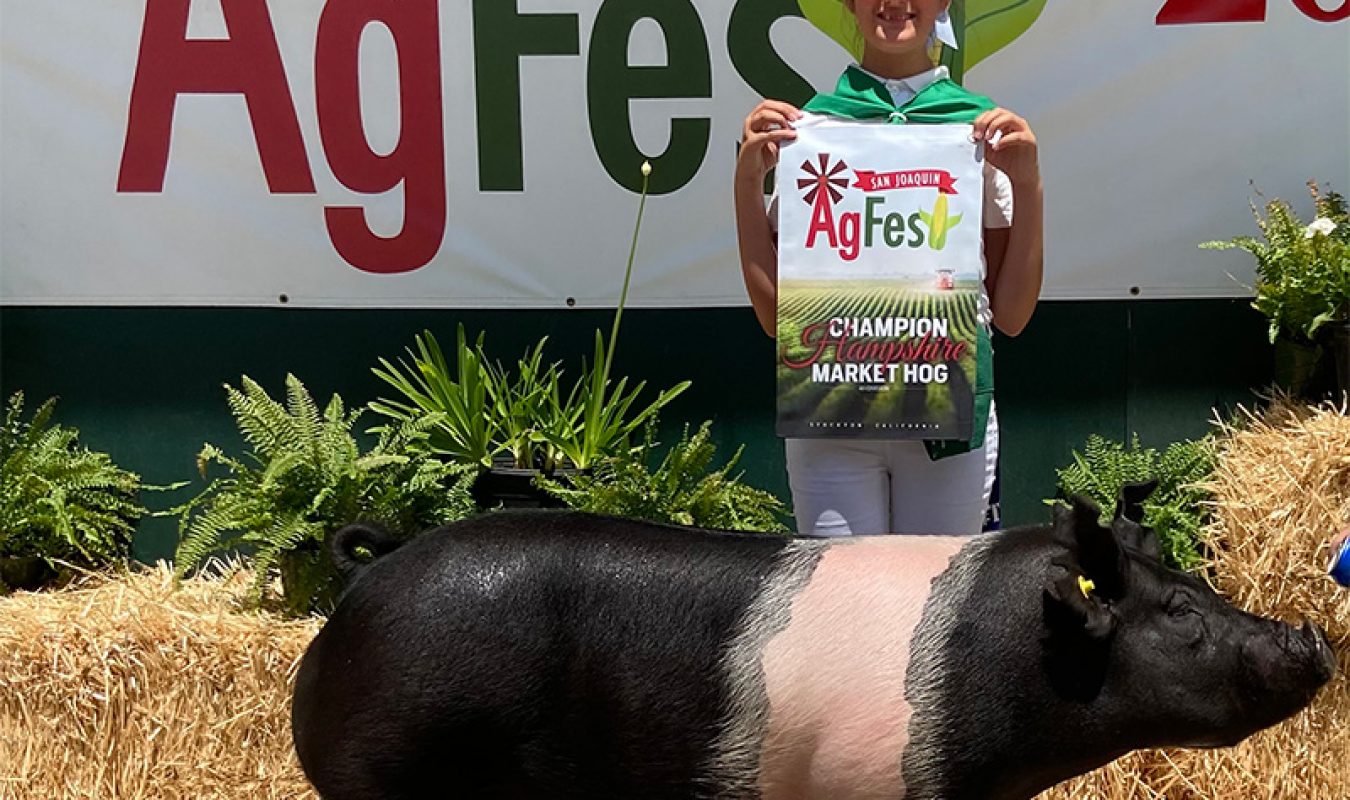 Champion Hamp San Joaquin Ag Fest