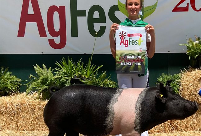 Champion Hamp San Joaquin Ag Fest