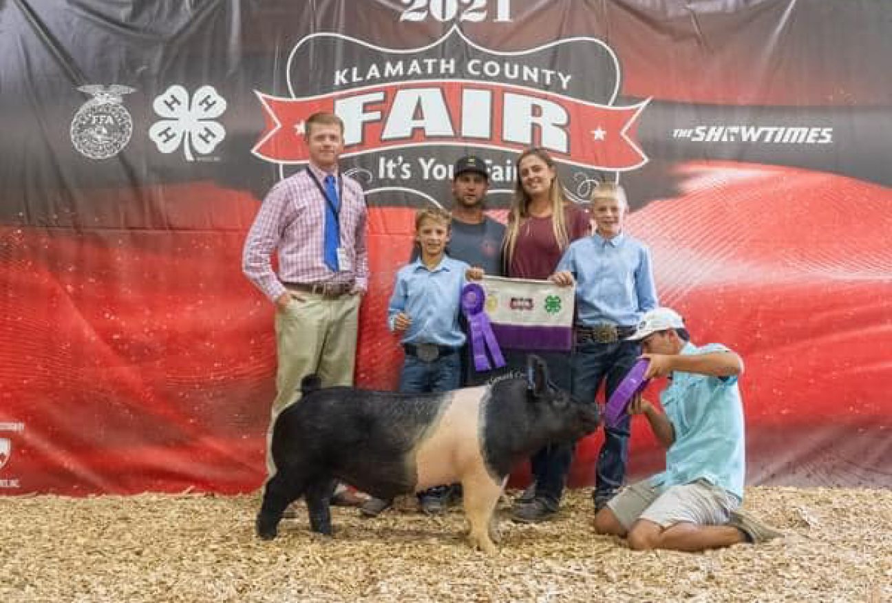 Wasatch County Rodeo Champions - Ottenwalter Showpigs