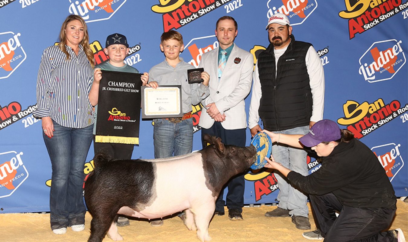 Grand XB Gilt San Antonio