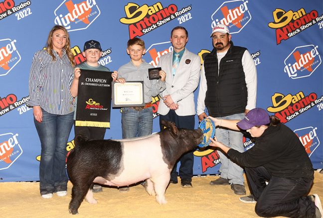 Grand XB Gilt San Antonio