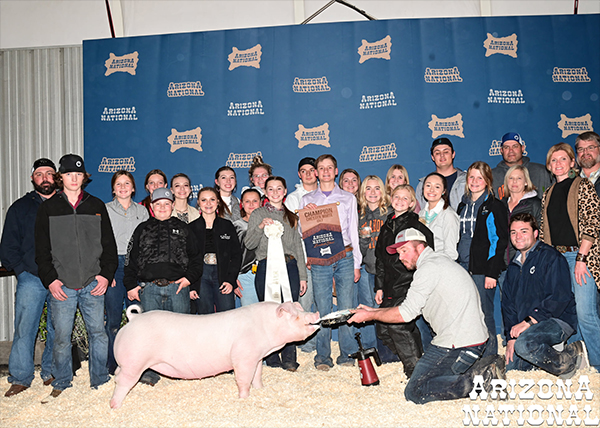 Champion Chester Gilt
