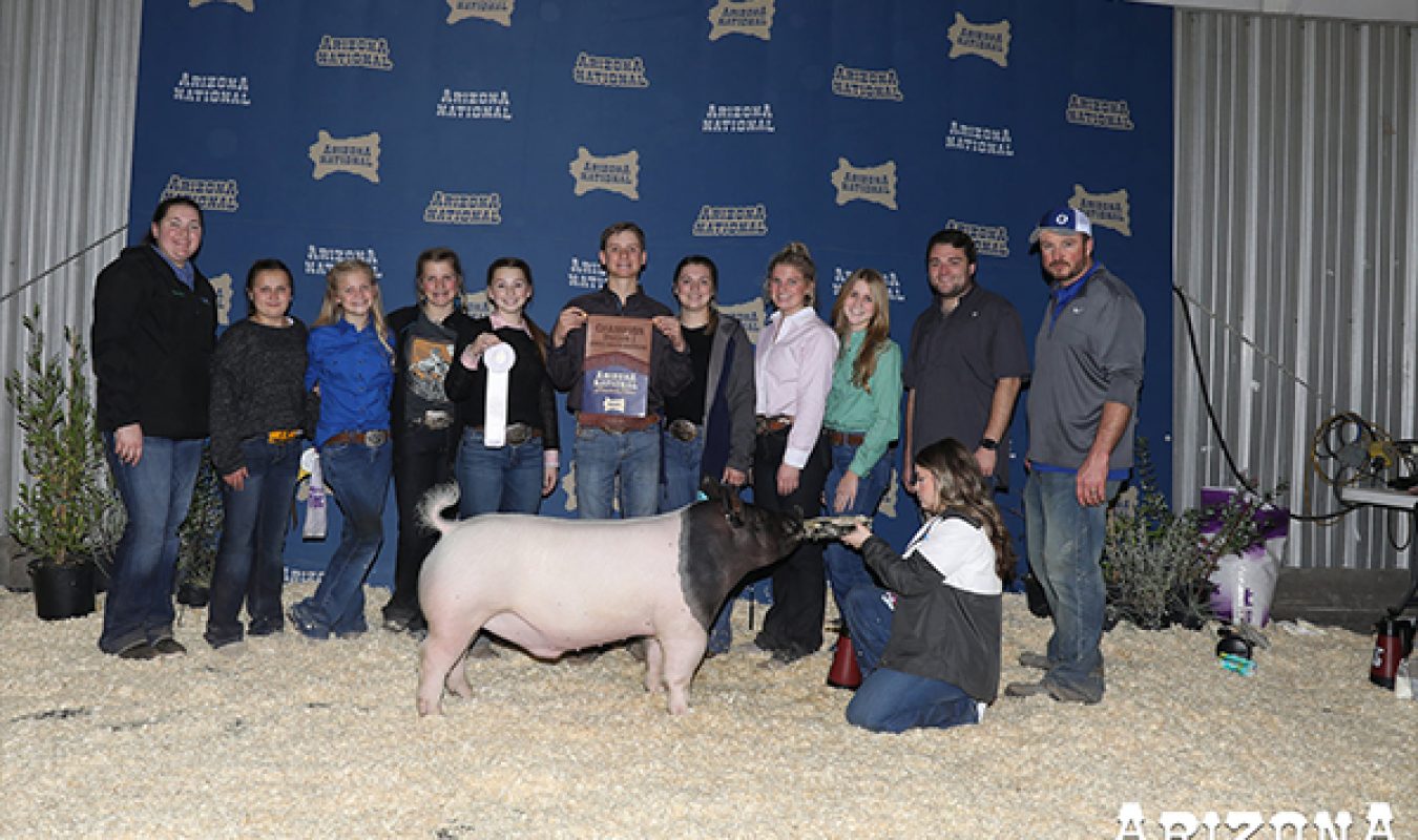 Champion Div 3 Cross Barrow