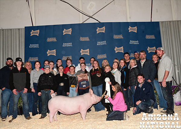 Champion York Gilt