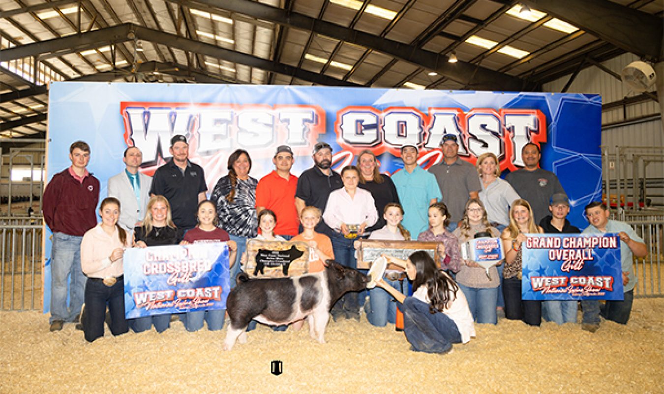 Supreme Champion Gilt West Coast National