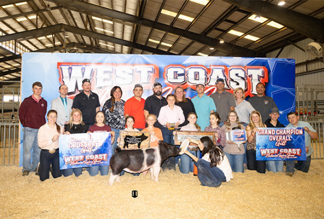 Supreme Champion Gilt West Coast National