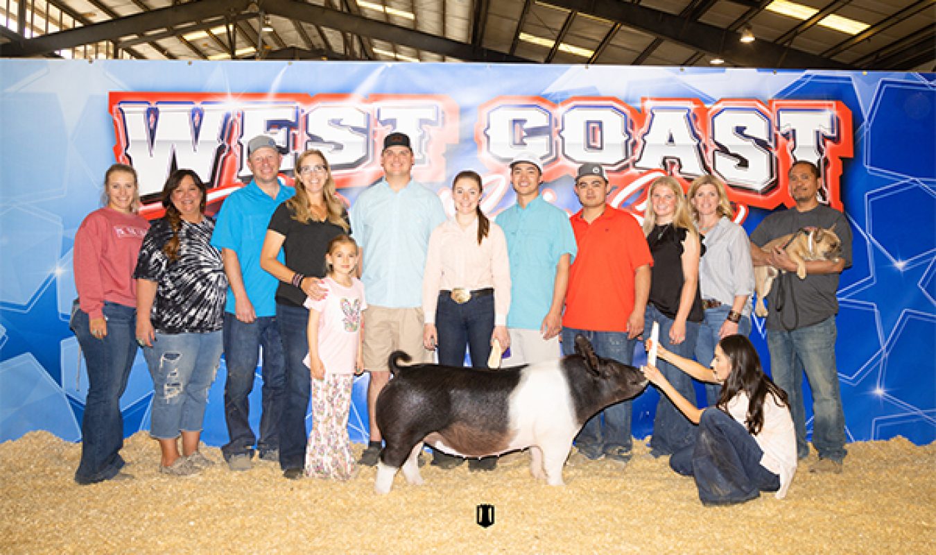 Sixth Overall Gilt West Coast National Swine Show
