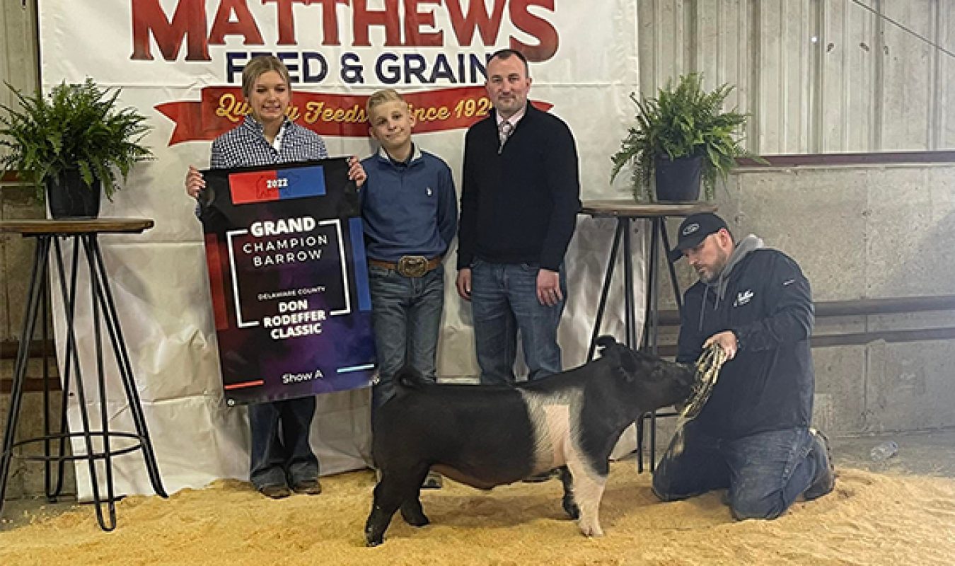 Champion Barrow - Ring A Don Dodeffer Classic