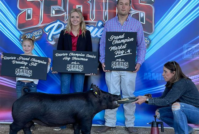 Grand Champion Market Hog SAILA Series Premier - AZ