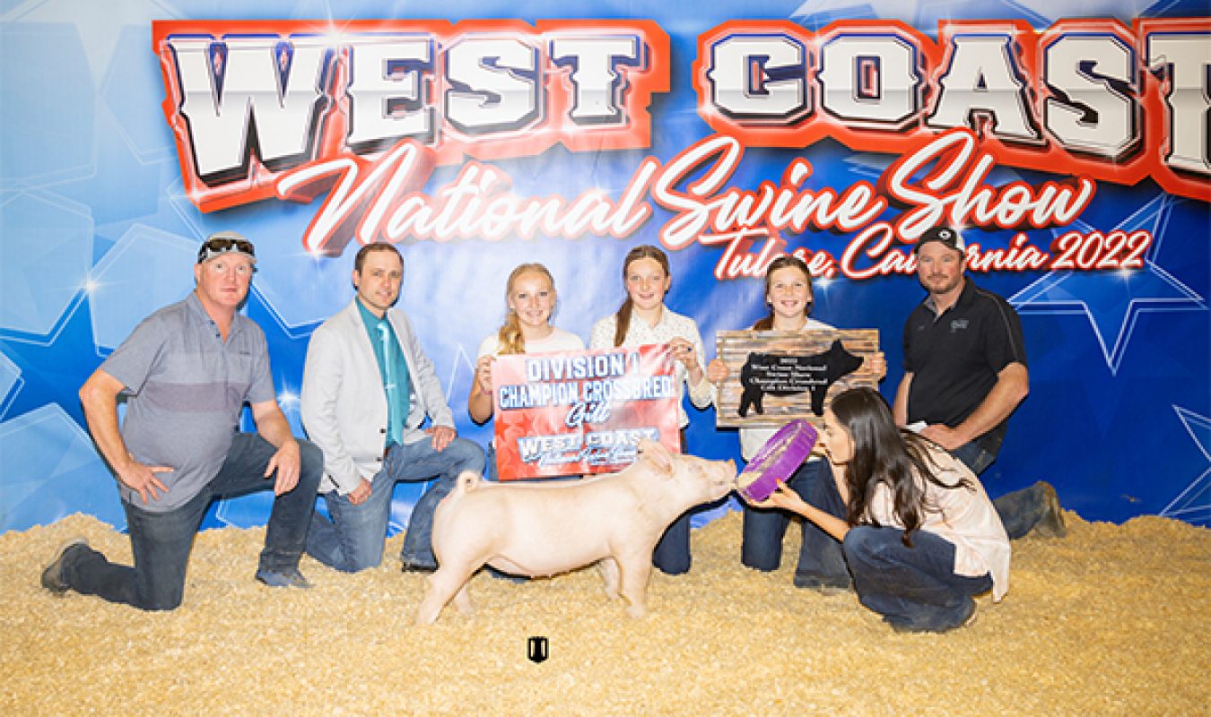 Champion Division 1 Gilt West Coast National Swine Show