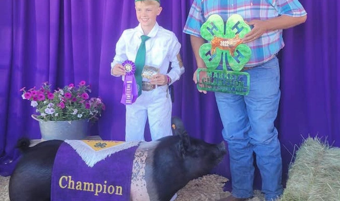 Champion 4-H Lassen County