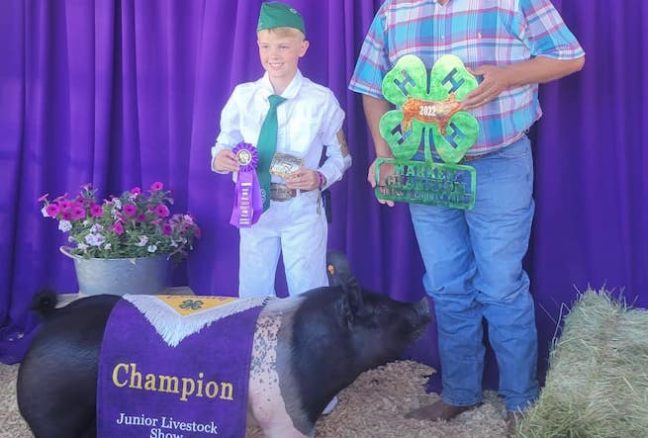 Champion 4-H Lassen County