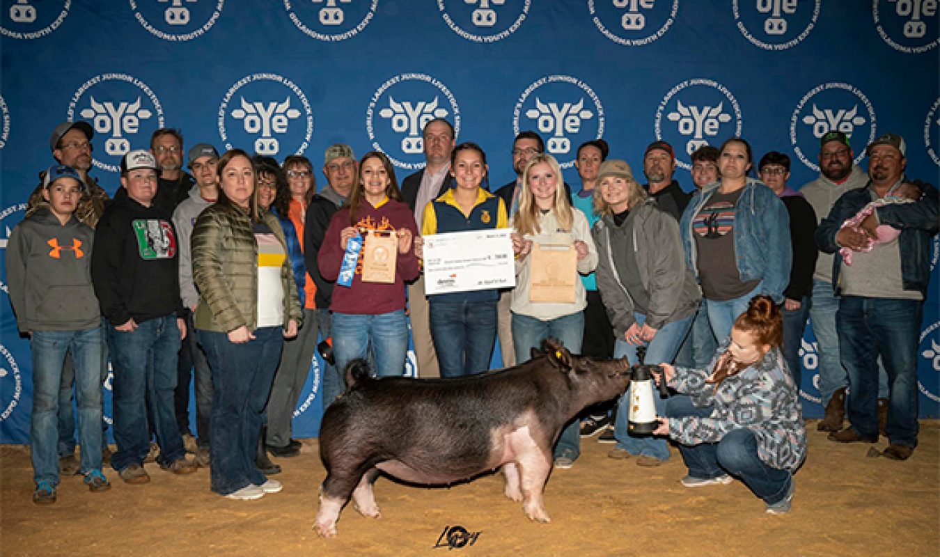 Fourth Overall Crossbred Gilt OYE