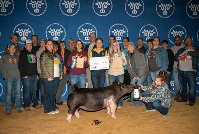 Fourth Overall Crossbred Gilt OYE