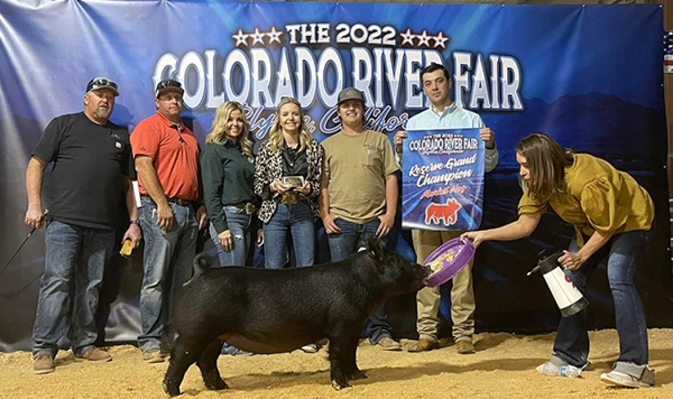 Reserve Champion Colorado River Fair