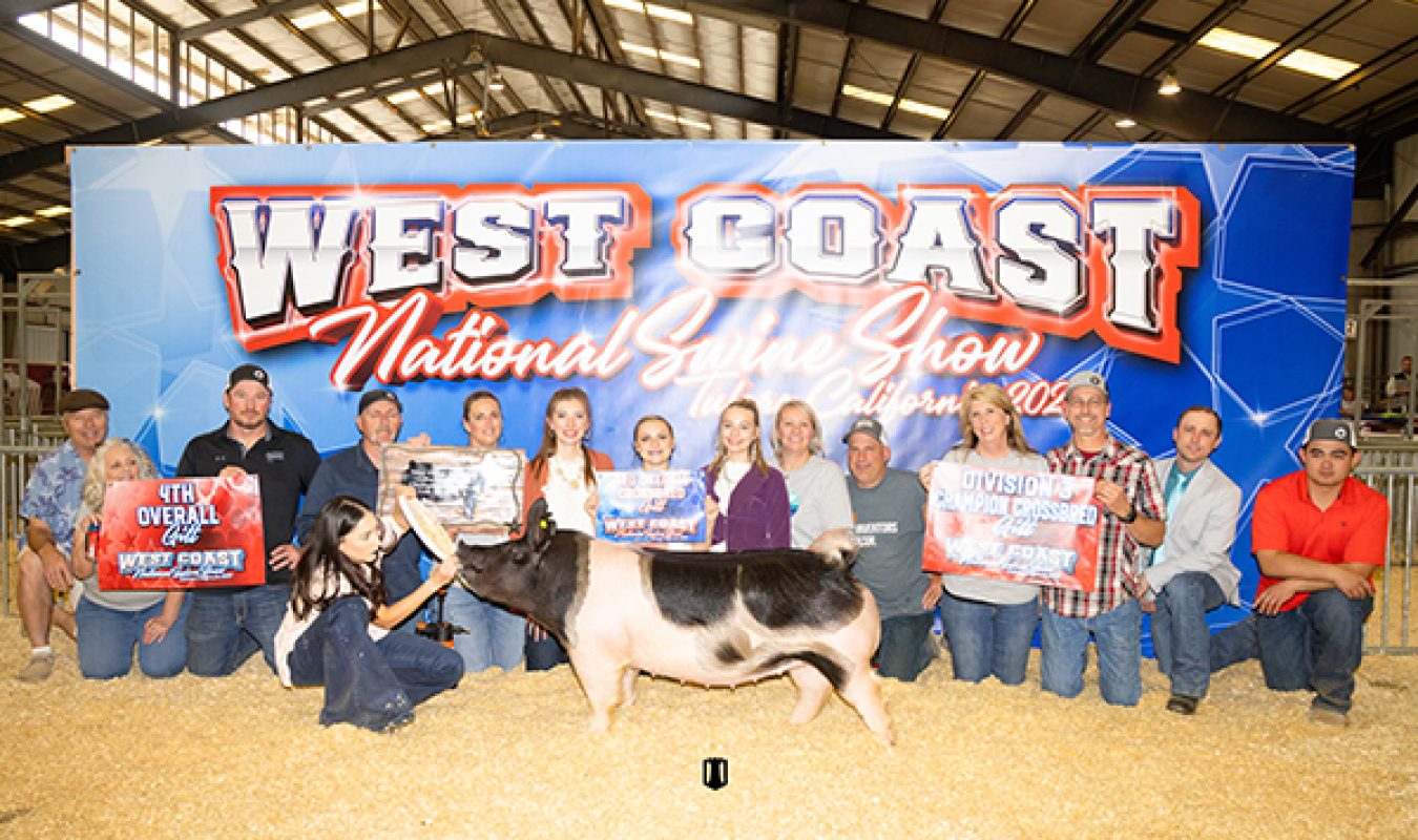 Fourth Overall Gilt West Coast National