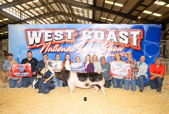 Fourth Overall Gilt West Coast National