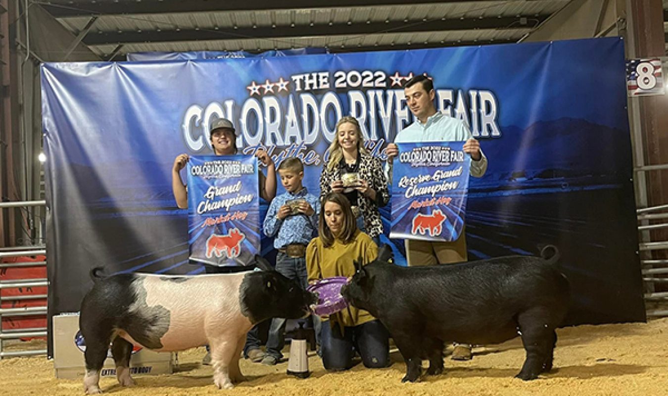 Supreme Champion Colorado River Fair