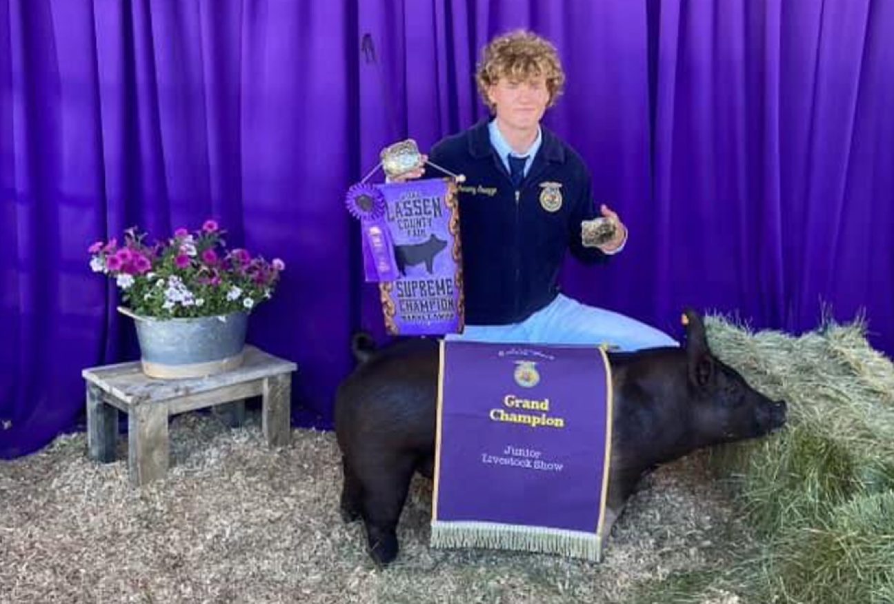 California July and August Fairs - Ottenwalter Showpigs