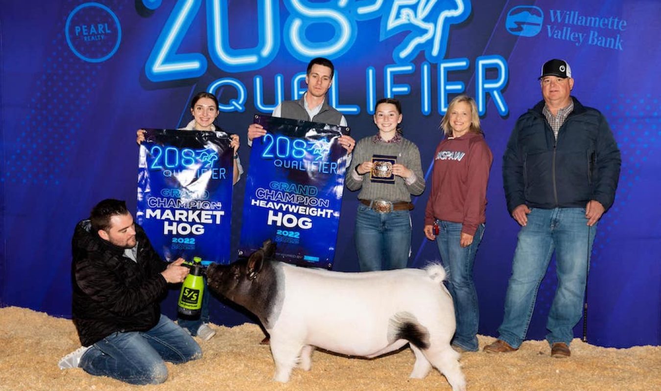 Grand Gilt 208 Qualifier