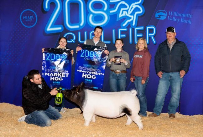 Grand Gilt 208 Qualifier