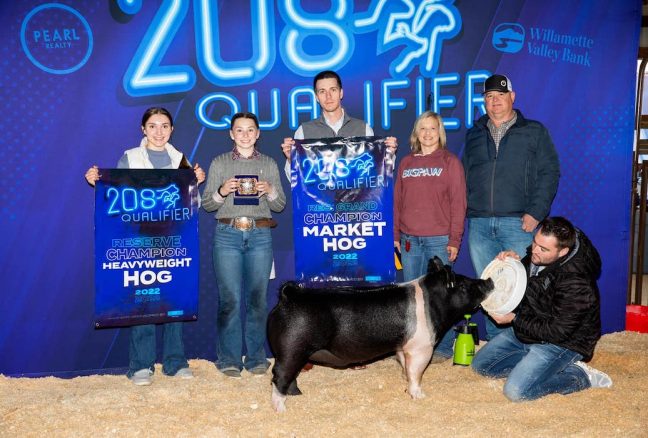 Reserve Gilt 208 Qualifier