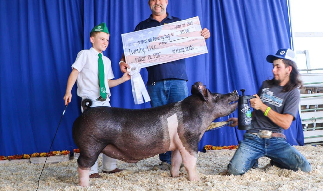 3rd Futurity Barrow Placer County