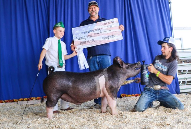 3rd Futurity Barrow Placer County