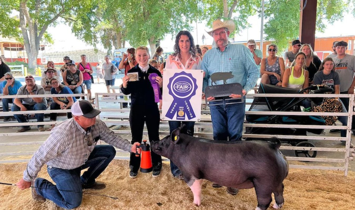 Grand Champion Benton Franklin Fair, WA