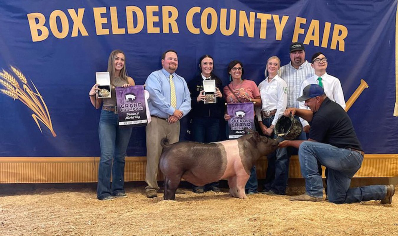 Grand Overall Box Elder County