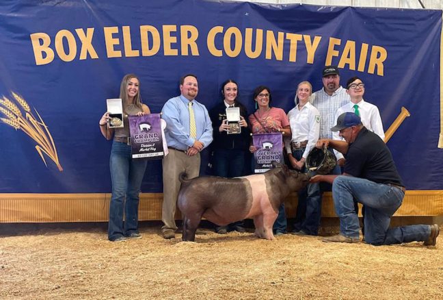 Grand Overall Box Elder County