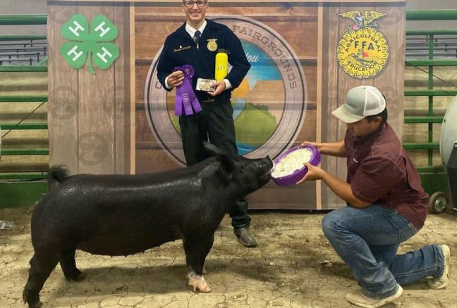 Reserve FFA Breeding Gilt Crook County