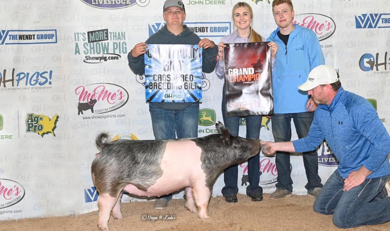 Grand Champion Breeding Gilt Drake County Shootout