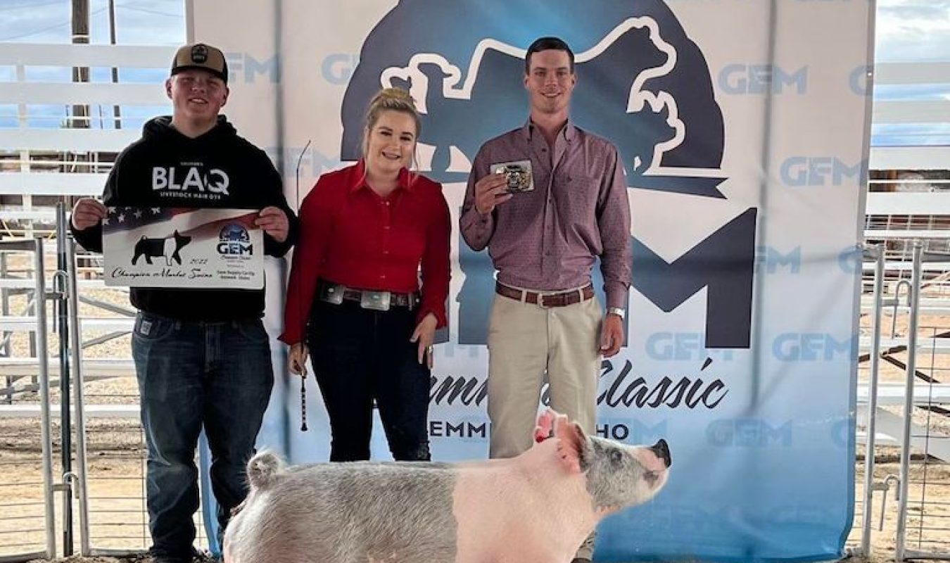 Reserve Supreme Market Hog, Emmett Classic