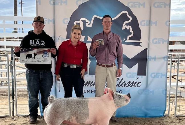 Reserve Supreme Market Hog, Emmett Classic