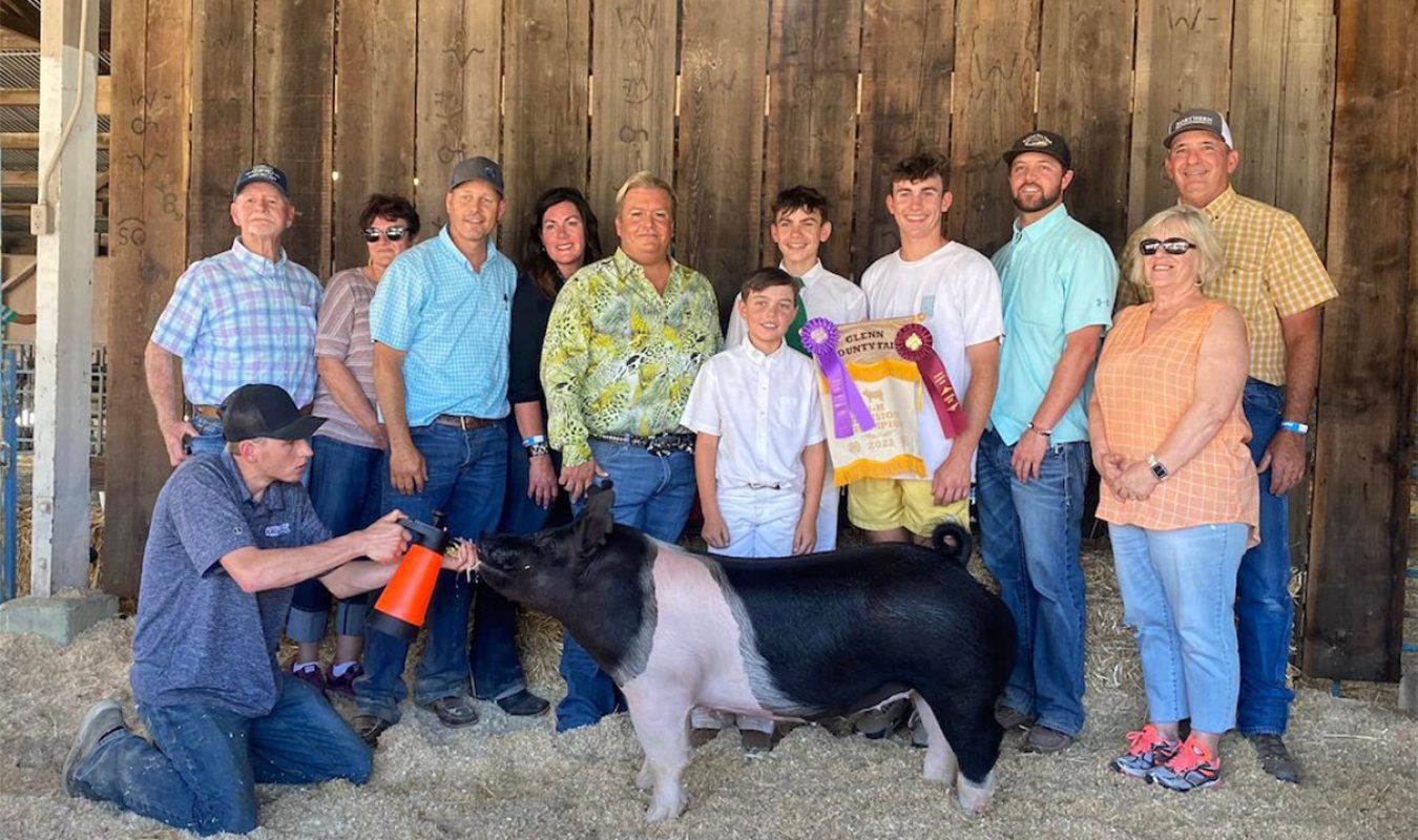 Champion 4-H Glenn County