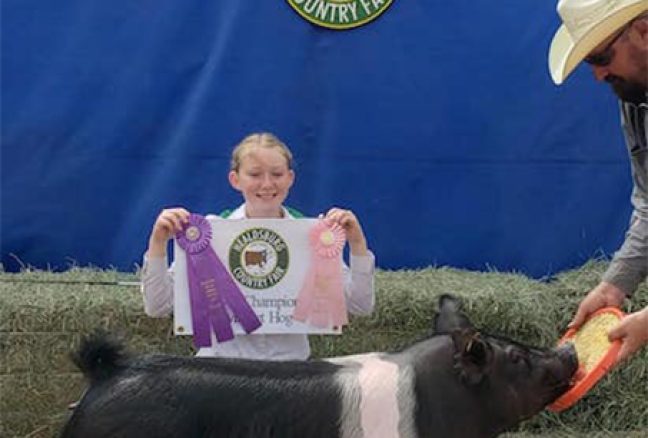 Champion 4-H Healdsburg