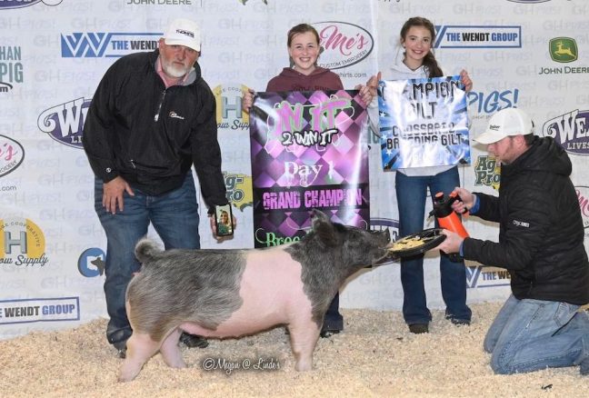 Grand Champion Breeding Gilt, 2022 In It 2 Win It