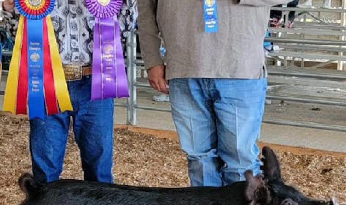 Supreme Champion Josephine County Fair