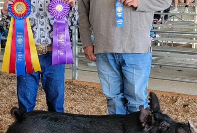 Supreme Champion Josephine County Fair