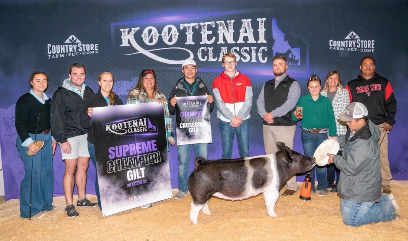 Grand Overall Gilt Kootenai Classic