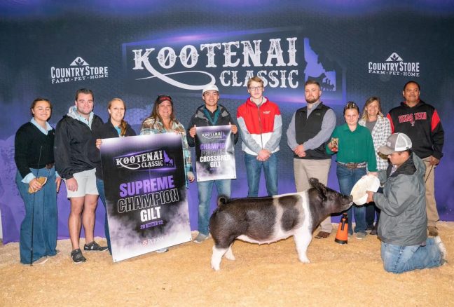 Grand Overall Gilt Kootenai Classic