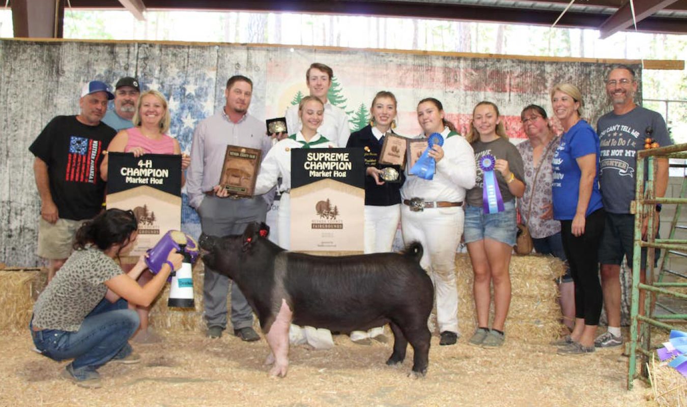 Grand Champion Nevada County