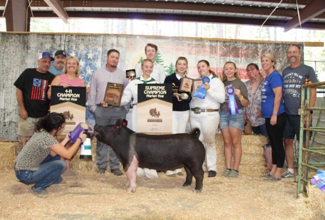 Grand Champion Nevada County