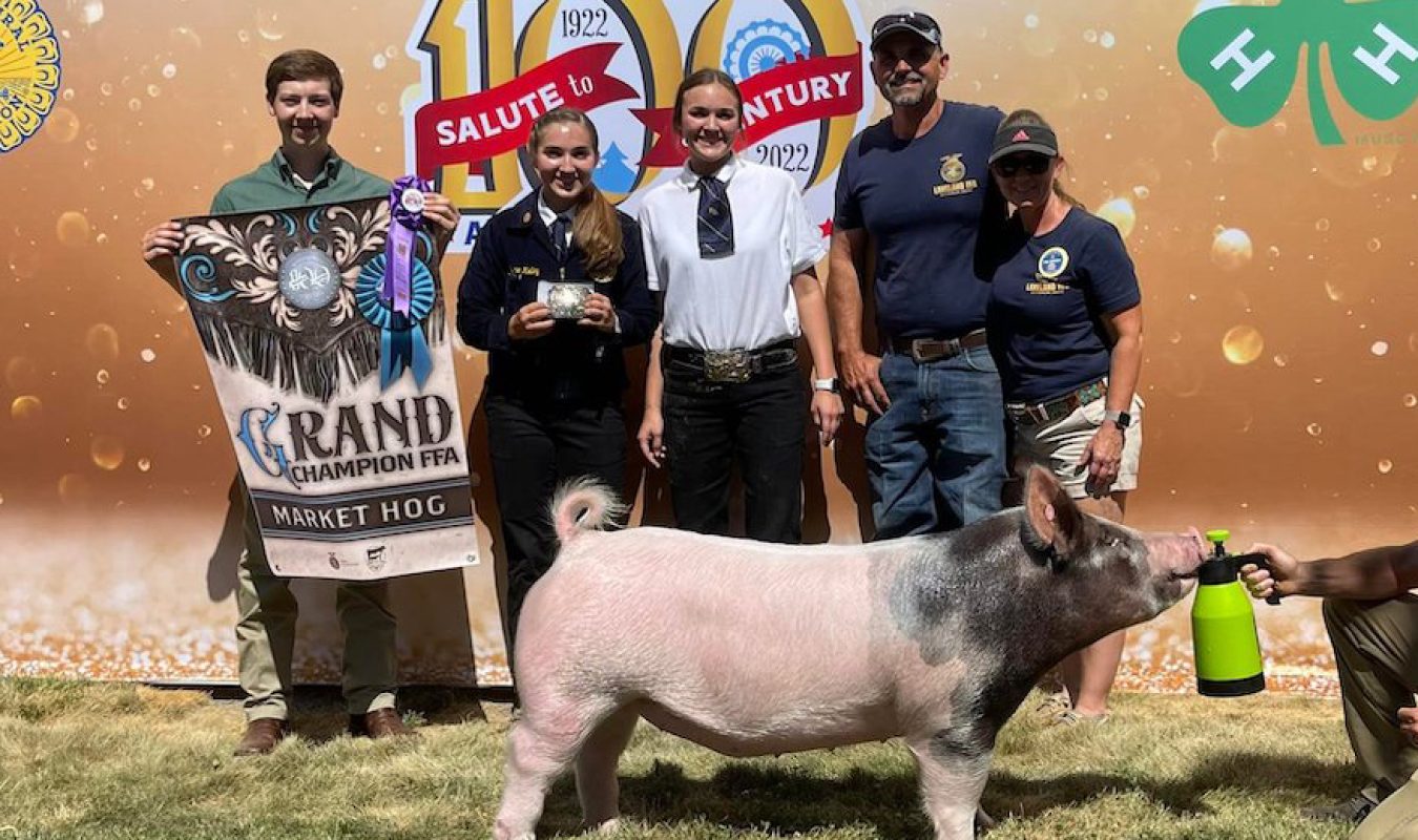 Grand Overall North Idaho Fair