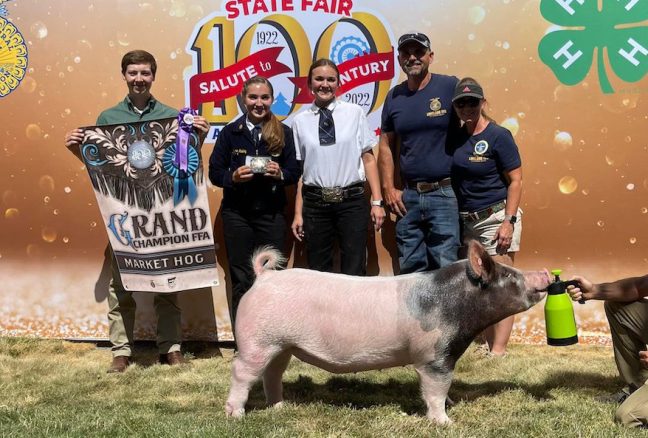 Grand Overall North Idaho Fair