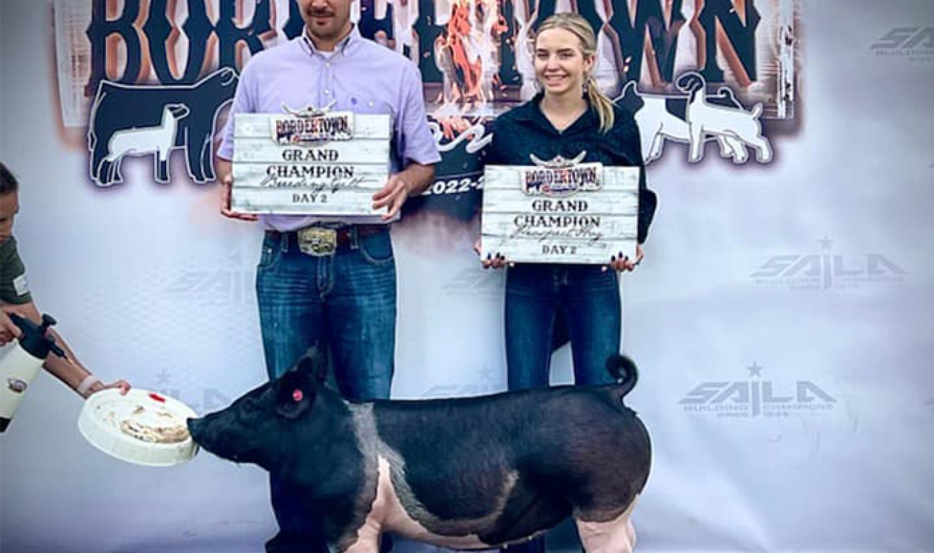 Grand Gilt Bordertown Showdown