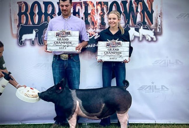 Grand Gilt Bordertown Showdown