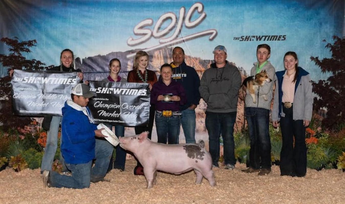 Champion Overall Market Hog,Champion Middleweight Hog, 2022 SOJC