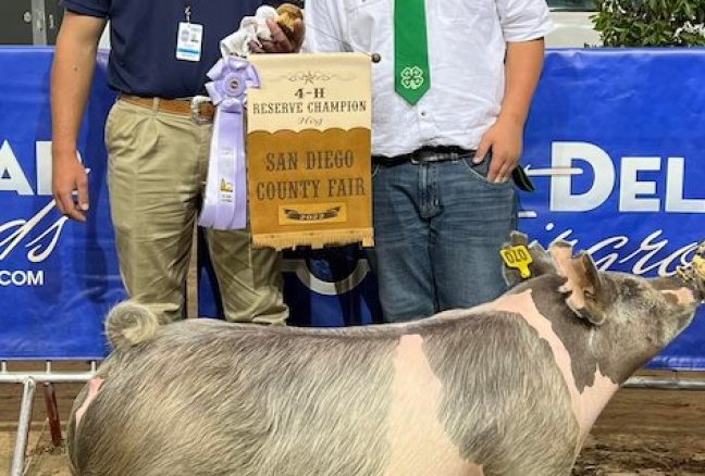 Reserve San Diego County Fair